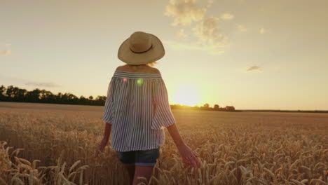 a young woman in a hat walks the wheat field touches the spikelet