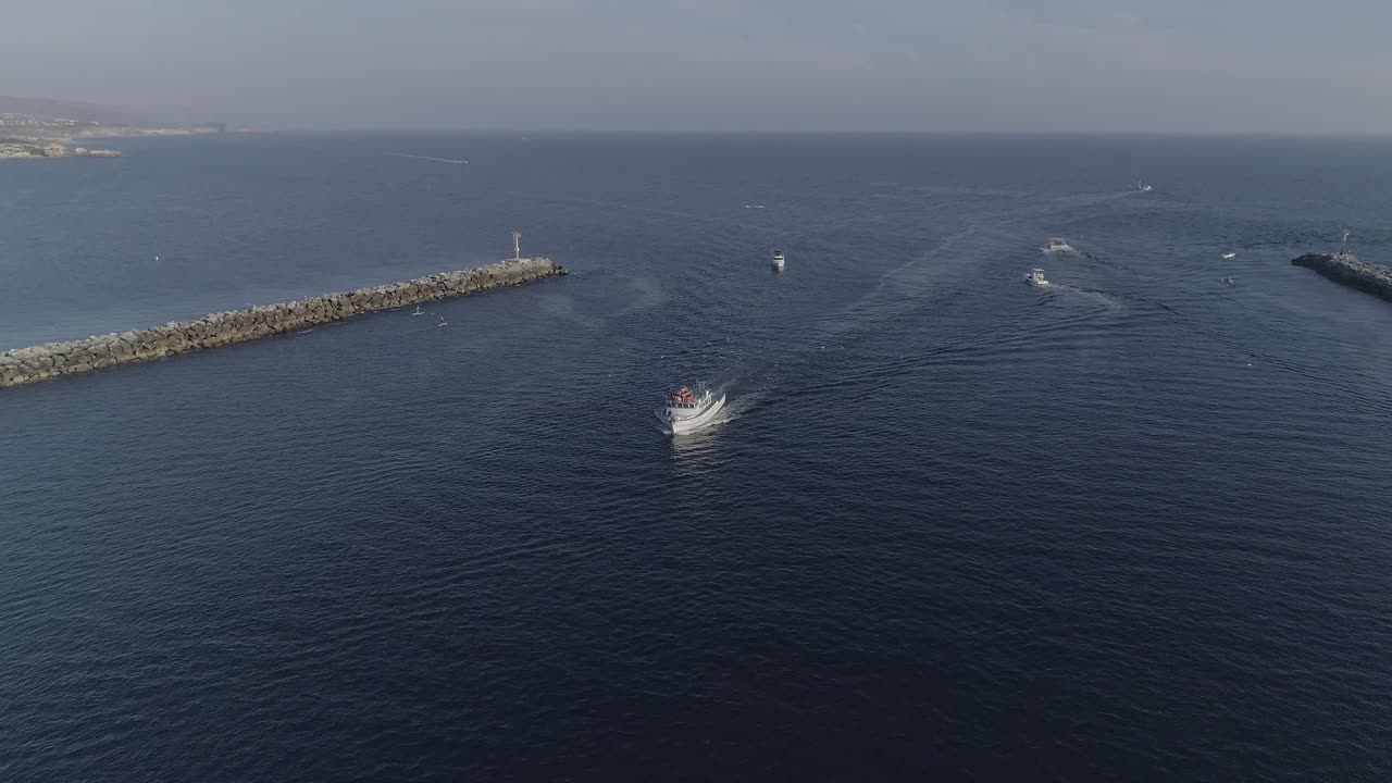 воздушный выстрел, летящий в сторону белого судна, направляющегося в залив ньюпорт с птицами, летающими вокруг него в ньюпорт-бич, калифорния
