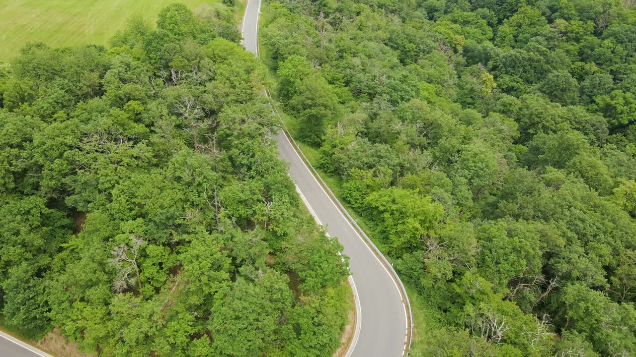 carretera rural vacía con curvas cerradas que conducen a una colina exuberante rodeada de espesos bosques caducifolios frondosos