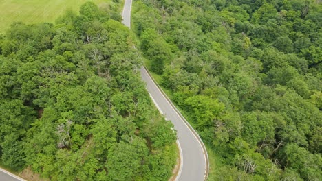 Empty-country-road-with-hairpin-bends-leading-down-a-lush-hill-surrounded-by-thick-leafy-deciduous-forests