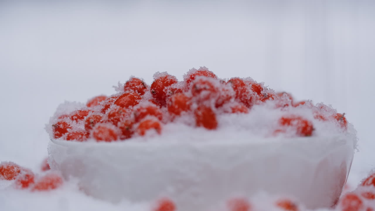 눈으로 인 은 열매