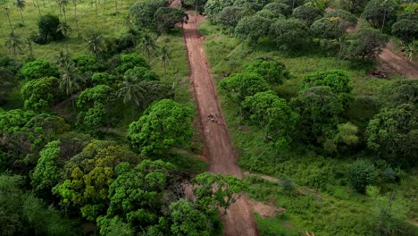 Vista-Aérea-Panorámica-De-Los-Caminos-De-Tierra-Que-Conectan-En-Un-Paisaje-Típico-De-Kenia