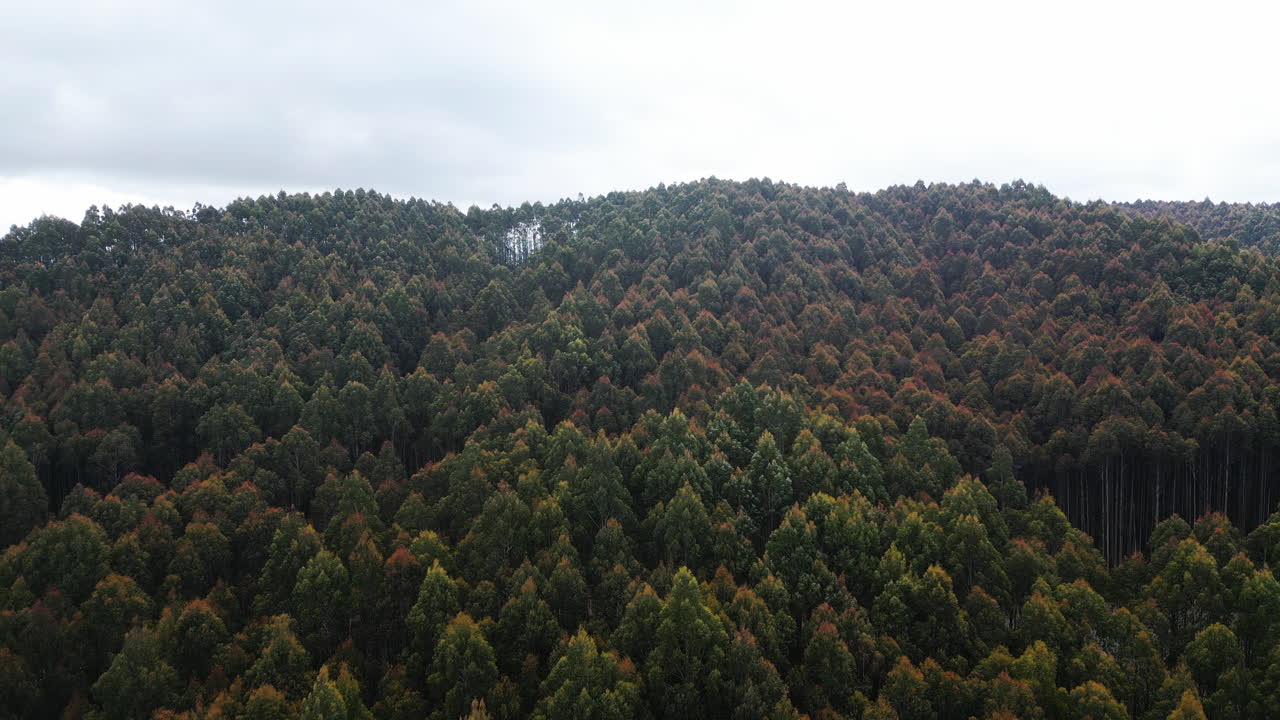 Slow Aerial dolly left shot of forest over hill on cloudy day