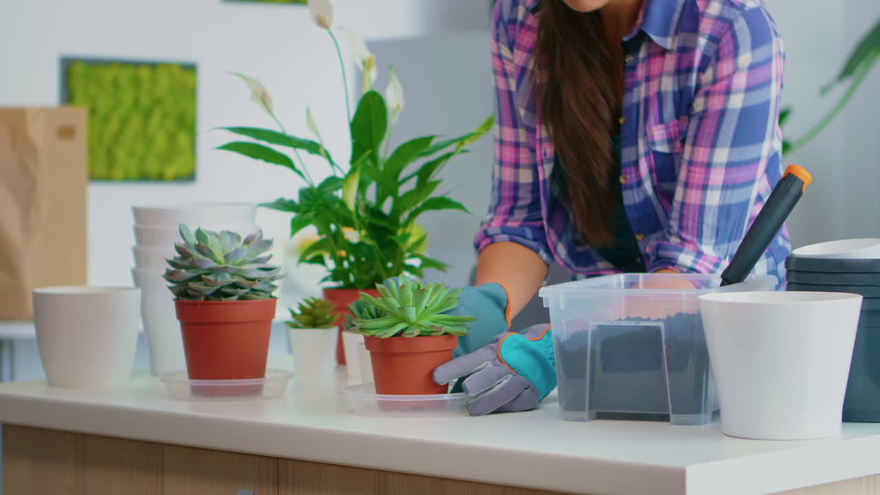 mujeres cocinando con tabletas