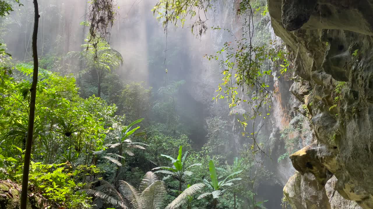 hermoso rayo de sol que brilla en la cueva de la niebla entrada de son doong la cueva más grande del mundo