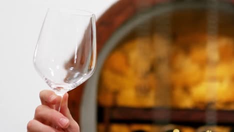 Waiter-looking-at-glass-of-wine-at-counter