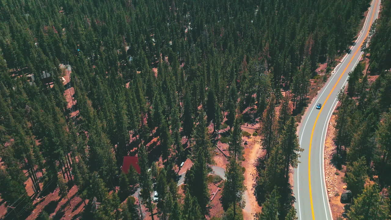 Flight over the freeway in the sunny woods. Detached houses locating in the pine tree forest. Aerial footage.