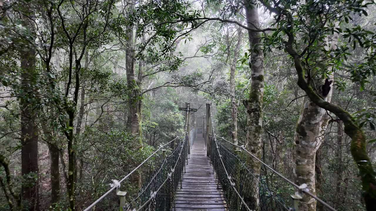 비가 오는 아침 에 안개 가 가득 한 열대 우림 길 을 가로질러 뛰어다니는 서스펜션 브릿지 를 따라 고 있다