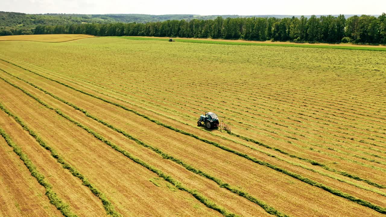 Vista aerea di un trattore al lavoro nel campo. Trattore agricolo che lavora l'erba verde sul prato. Macchinari agricoli che producono fieno per le mucche.