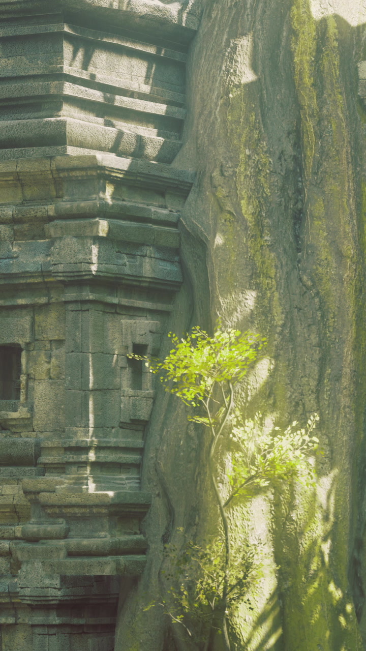 Green sprouts emerges from ancient stone in a sunlit temple setting