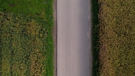 drone view, empty, narrow, local road, grass, cultivated fields, top down, forward direction