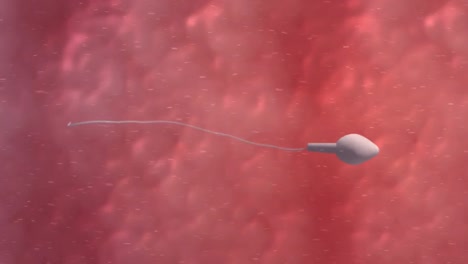 Moving-egg-cell-being-fertilized-by-sperm