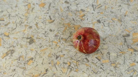 pomegranate close up on light background. view top. camera movement from right to left