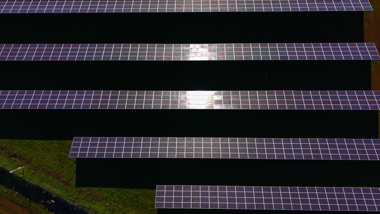 Pannelli solari disposti in file e illuminati dal sole in un impianto di energia rinnovabile nel pomeriggio