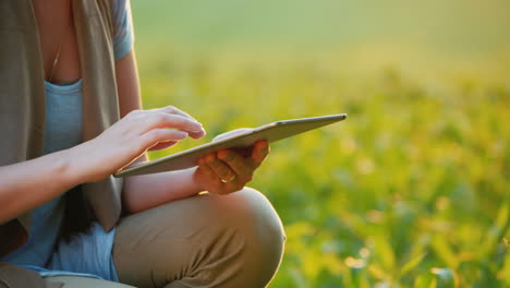 Bauernhände,-Die-Mit-Einer-Tablette-In-Der-Nähe-Junger-Maistriebe-Arbeiten