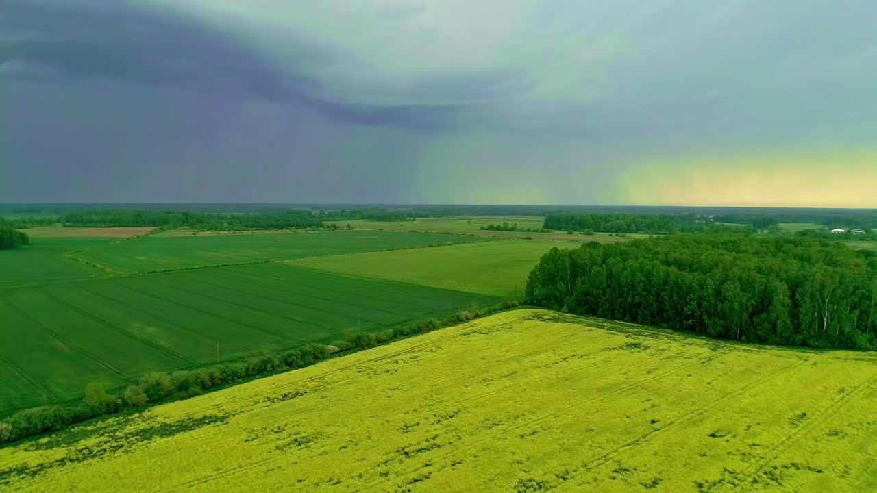여름 시즌에는 숲 나무와 흐린 하늘이 있는 녹색 들판 풍경 위의 공중 비행