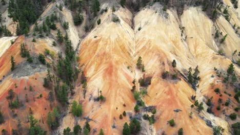 establishing shot showing deforestation happening on a hillside in canada