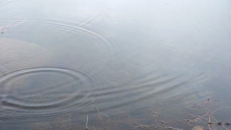 Gotas-De-Lluvia-Creando-Ondas-En-El-Agua-En-Cámara-Lenta