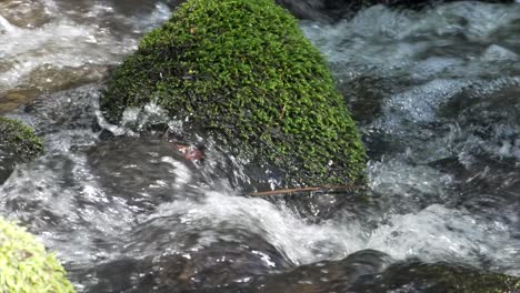 Close-up-view-of-moving-water-in-a-small-creek-in-slow-motion