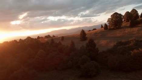 Imágenes-Cinematográficas-Aéreas-De-Un-Dron-De-Carreras-Fpv-De-Un-Prado-Iluminado-Por-El-Sol-Durante-Una-Puesta-De-Sol-De-Verano