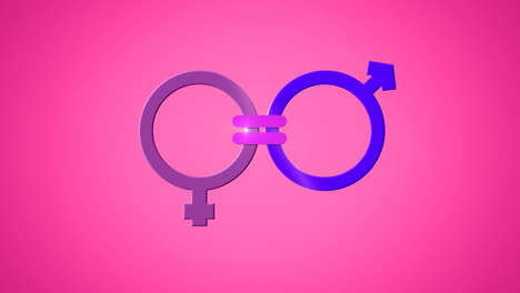 animation of pink and blue male and female gender symbols joined by equals sign, on pink