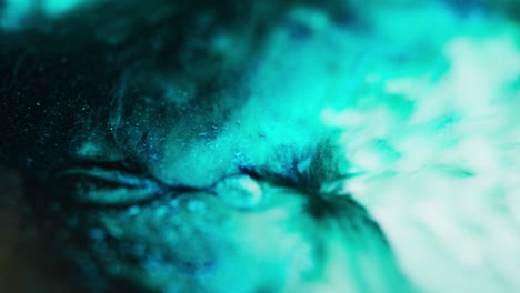macro video of fluid blue, green, and black ink moving and blending in smooth abstract patterns