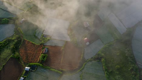 Fog-covering-rice-field-patchwork-in-Bali,-Unesco-Heritage-Site,-aerial