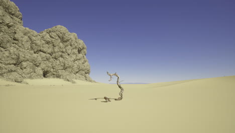 barren desert landscape with twisted tree and rocky formations under clear sky