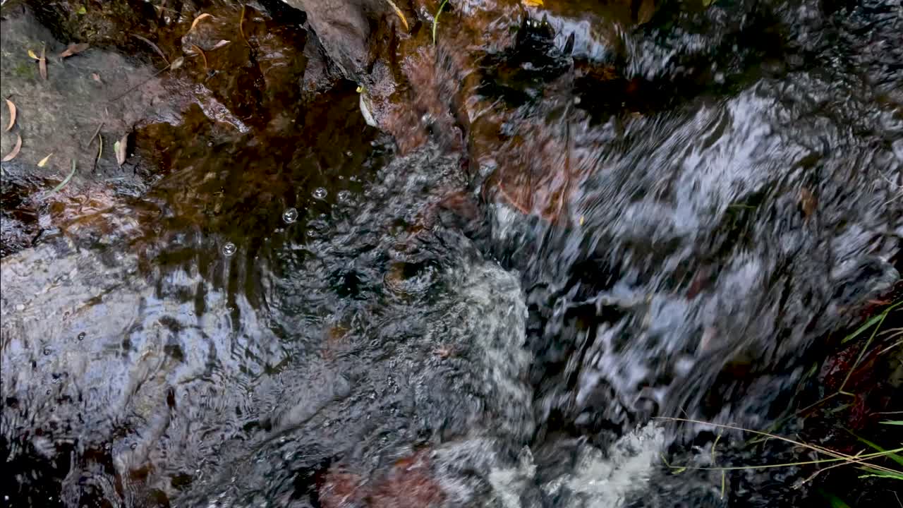 Acqua che scorre sulle rocce in una foresta