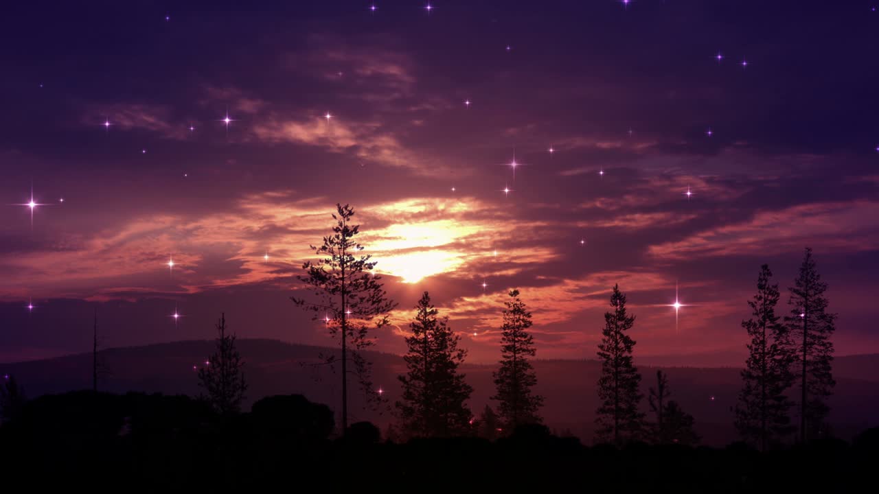 cielo nocturno y árboles de fondo