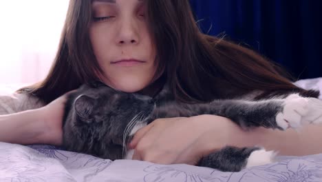 a young woman on the bed hugs her fluffy gray cat. man's love for pets, affection for his pets