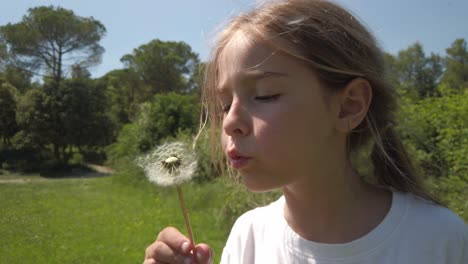 Weibliches-Kind-Bläst-Die-Kleinen-Weißen-Blütenblätter-Eines-Löwenzahns,-Zeitlupe