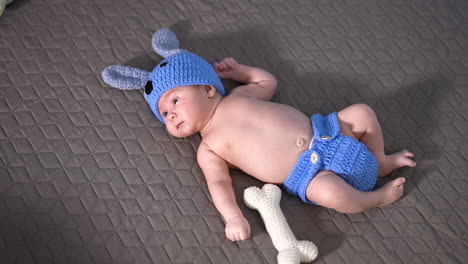 cute baby in a funny blue suit lying on the bed. puppy costume put on a newborn kid and funny soft knitted bone beside. view from above.
