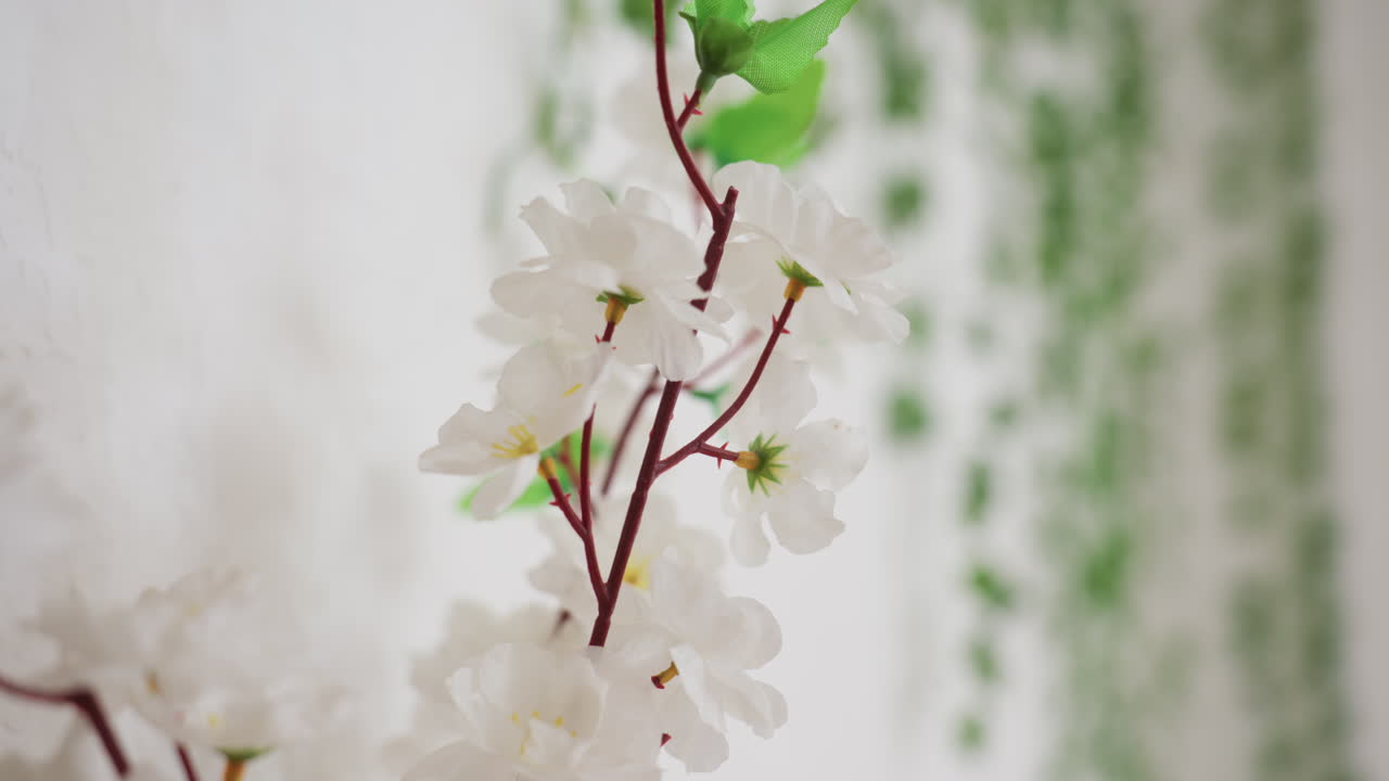 Close up of decorative vine with white flowers and green leaves hanging indoors against bright blurred background, symbolizing freshness, minimal design, and natural beauty