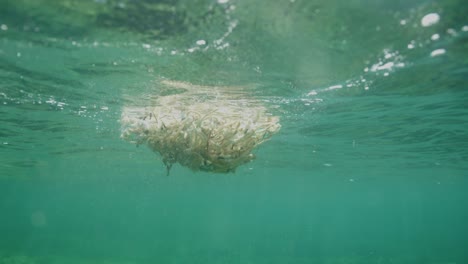 plastic pollution in the ocean. slow motion.