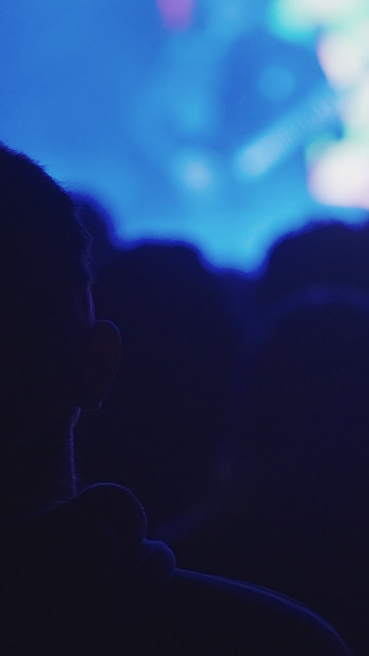 Silhouette di una persona che guarda un concerto con luci blu intense