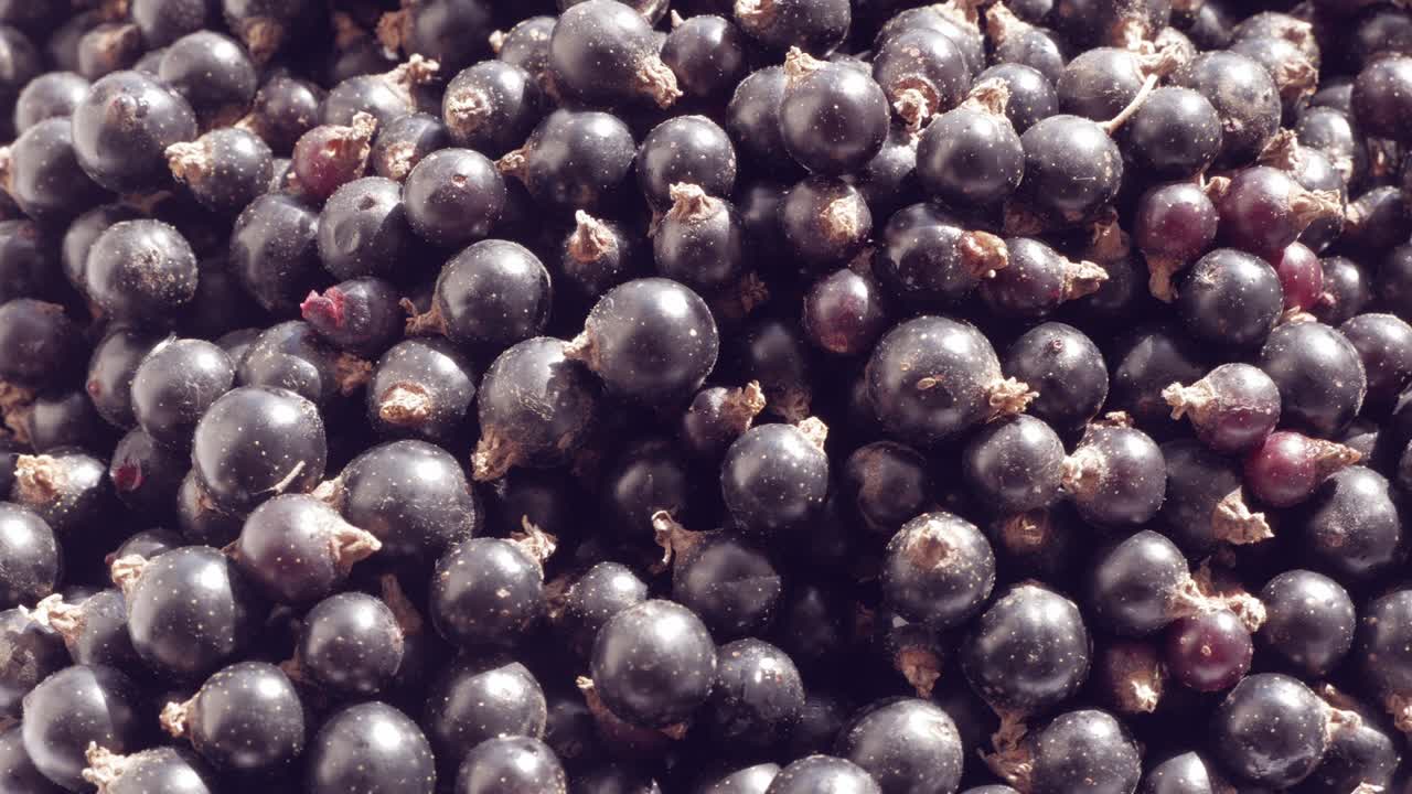 superalimento con un alto contenido de antioxidantes naturales. ácido ascórbico y vitamina c. rotación suave.
