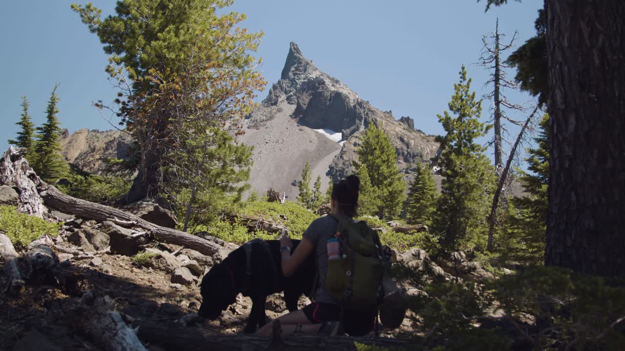 chica y laboratorio negro tomando un descanso en la sombra durante una caminata por la montaña