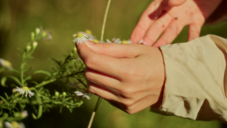woman holding wildflowers