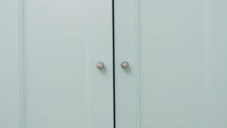 light mint green closet doors with silver handles