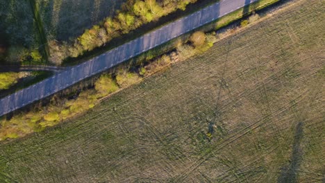 Forststraße:-Drohne-Schwenkt-In-Die-Häuser-Und-Bäume-Im-Herzen-Der-Natur