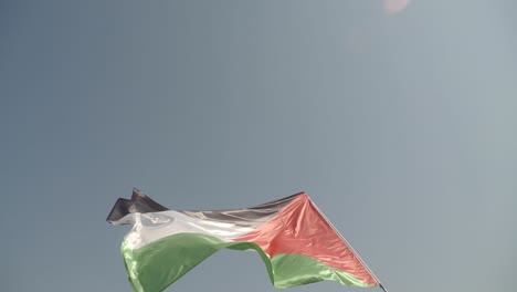 flags of palestine and other countries