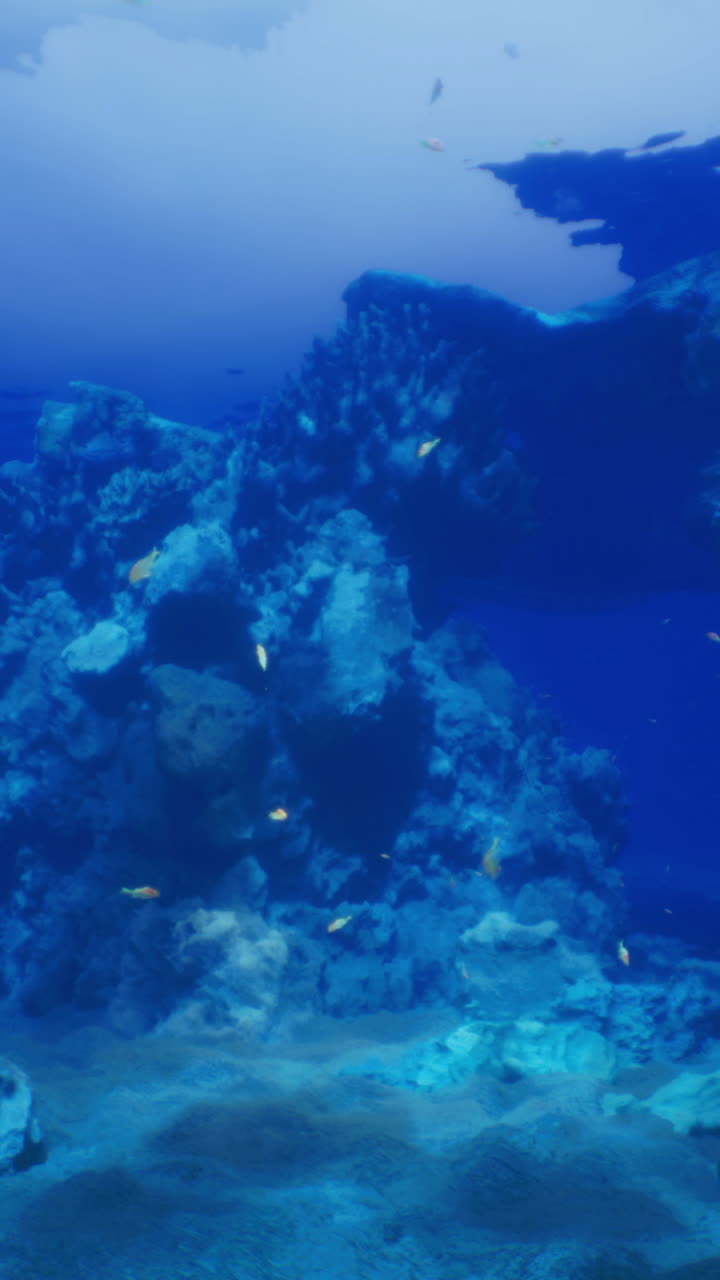 Underwater view of coral reef with colorful fish in clear blue waters