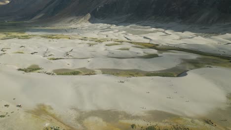 aerial view of sand dunes nubra valley, ladakh