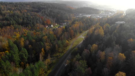 Vista-Aérea-Sobre-Un-Camino-Forestal-En-Colores-Otoñales-En-Un-Hermoso-Día-Soleado-Con-Autos-Pasando