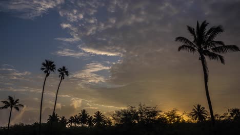 clouds move in time lapse over palms trees on the island of hawaii