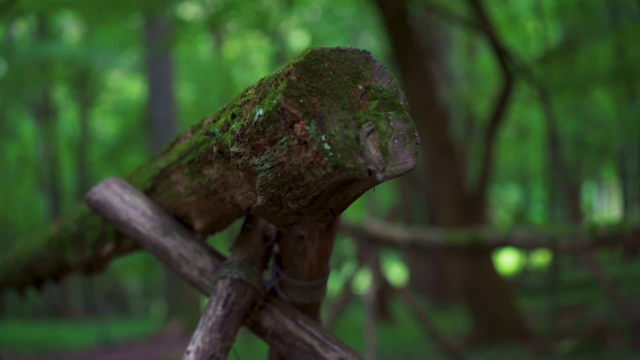 cerca hecha de árboles caídos