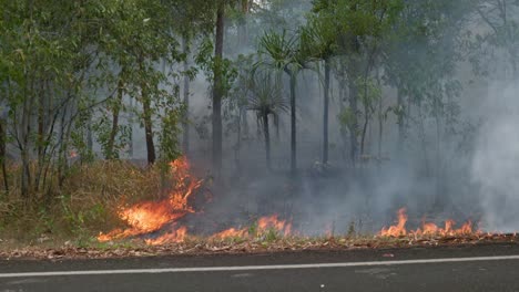 bushfire burning near road