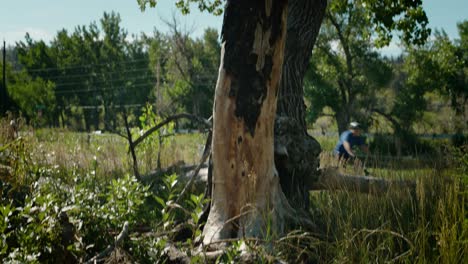 Witness-the-close-up-aftermath-of-wildfire-as-a-burnt-tree-vividly-displays-the-extent-of-wildfire-damage-in-the-Colorado-wilderness