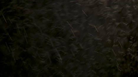 a clip of a heavy snowfall